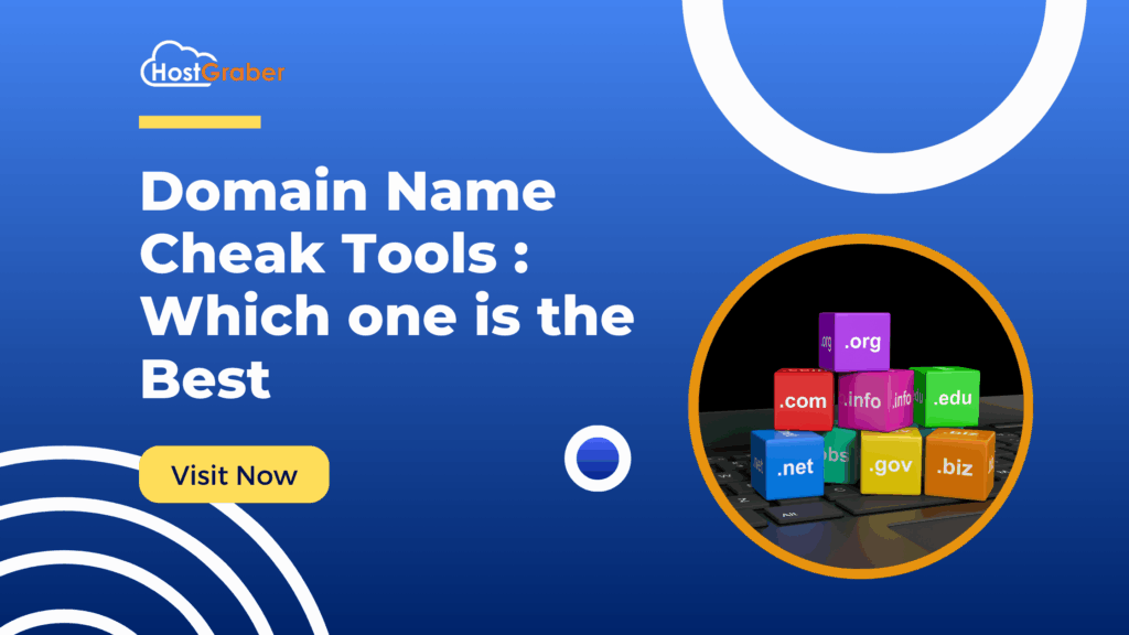 Domain Name Check