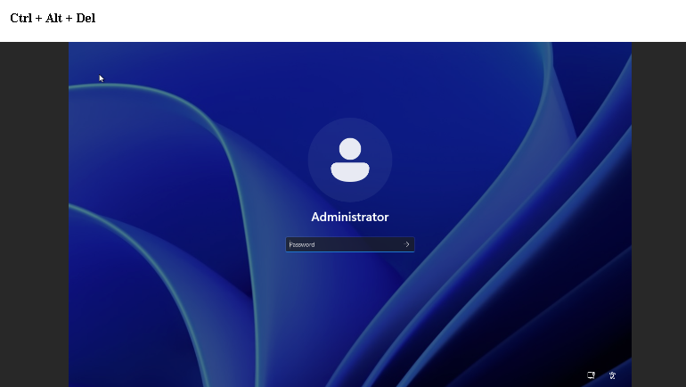 windowsinstance